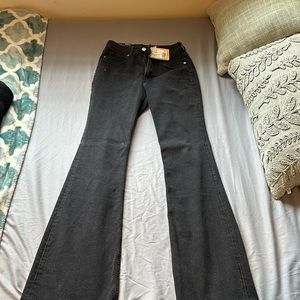 Hm brand new boot bottoms pants